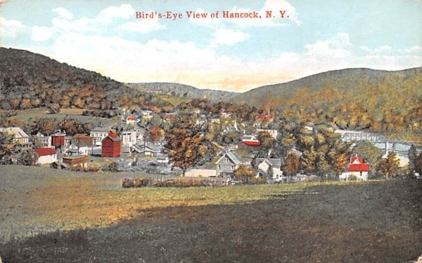 Bird's Eye View Hancock, New York Postcard