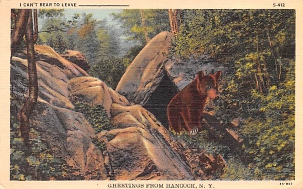 I Can't Bear to Leave Hancock, New York Postcard