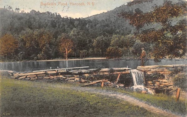 Busfield's Pond Hancock, New York Postcard