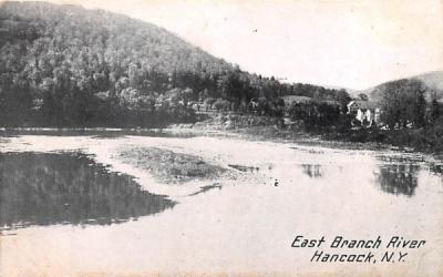 East Branch River Hancock, New York Postcard