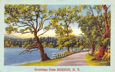 Greetings from Horton, New York Postcard