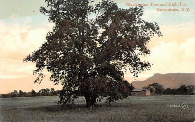 Washington Tree & High Tor Haverstraw, New York Postcard