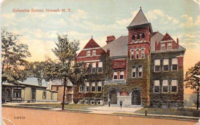 Columbia School Hornell, New York Postcard