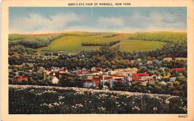 Bird's Eye View Hornell, New York Postcard
