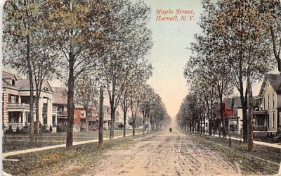 Maple Street Hornell, New York Postcard