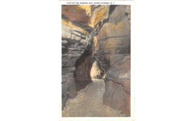 Winding Way Howe Caverns, New York Postcard