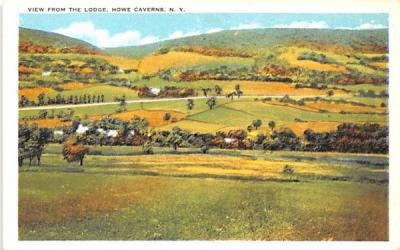 From the Lodge Howe Caverns, New York Postcard