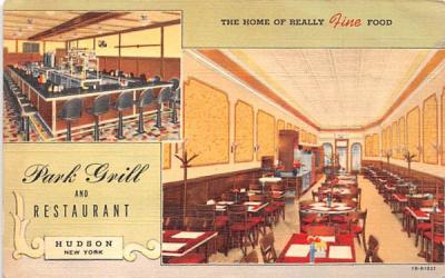 Park Grill & Restaurant Hudson, New York Postcard