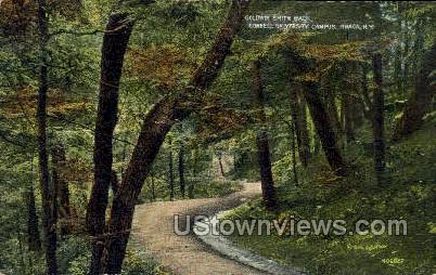 Goldwin Smith Walk - Ithaca, New York NY Postcard