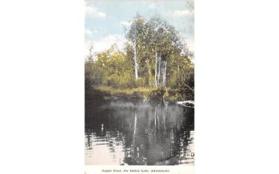 Popple Point Indian Lake, New York Postcard