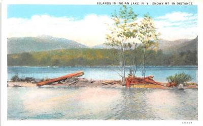 Islands Indian Lake, New York Postcard