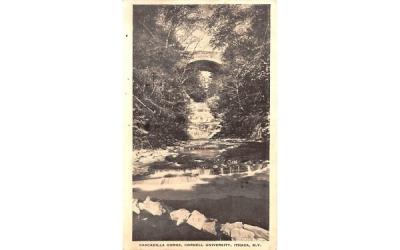 Cascadilla Gorge Ithaca, New York Postcard