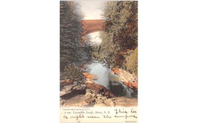 Cascadilla Gorge Ithaca, New York Postcard