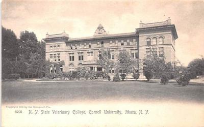 NY State Veterinary College Ithaca, New York Postcard