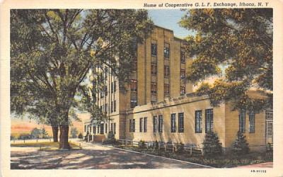 Home of Cooperative GLF Exchange Ithaca, New York Postcard