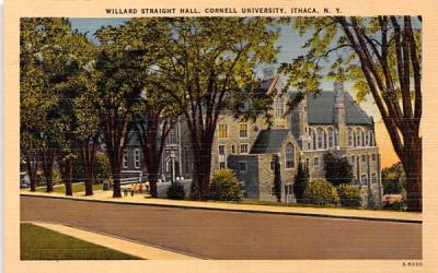 Willard Stri Ithaca, New York Postcard