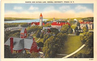 Campus & Cayuga Lake Ithaca, New York Postcard