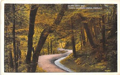 Goldwin Smith Walk Ithaca, New York Postcard