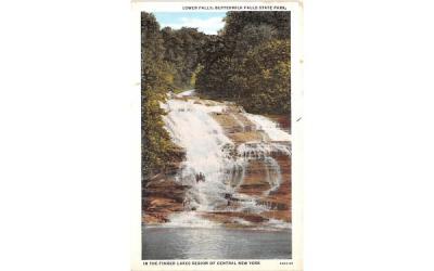 Lower Falls, Buttermilk Falls State Park Ithaca, New York Postcard
