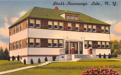 Block's Kauneonga Lake, New York Postcard