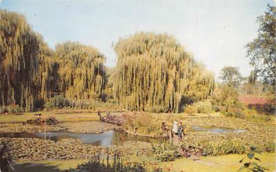 Famous Sunken Garden Kingston, New York Postcard