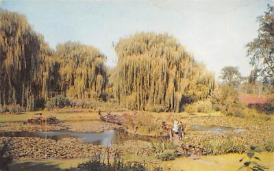 Famous Sunken Garden Kingston, New York Postcard