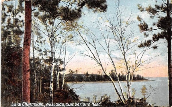 West Side Lake Champlain, New York Postcard