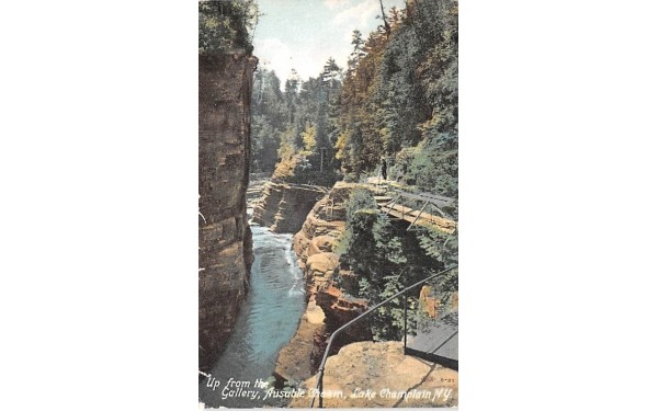 Ausable Chasm Lake Champlain, New York Postcard