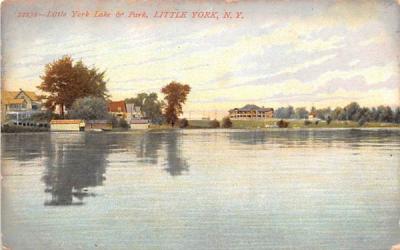 Little York Lake & Park New York Postcard
