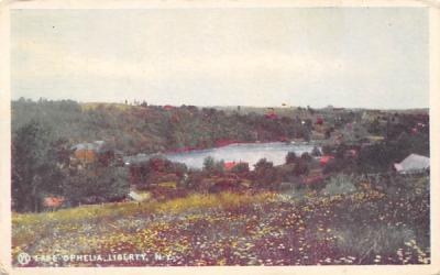 Lake Ophelia Liberty, New York Postcard