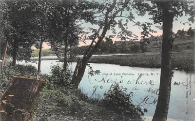 The Inlet of Lake Ophelia Liberty, New York Postcard