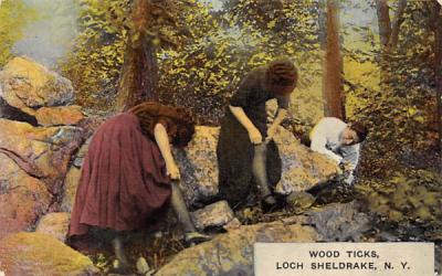 Wood Ticks Loch Sheldrake, New York Postcard