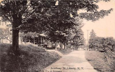 Academy Street Liberty, New York Postcard