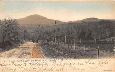 Walnut and Baldhead Mountains Liberty, New York Postcard