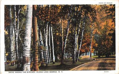 Drive among the birches Lake George, New York Postcard