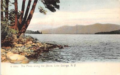 Pines along the Shore Lake George, New York Postcard