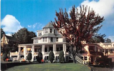 Homestead and Cottages Lake Placid, New York Postcard