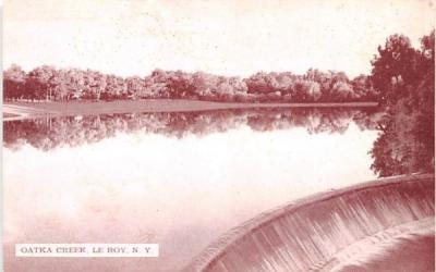 Oatka Creek Le Roy, New York Postcard