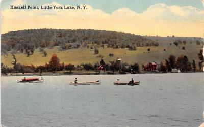 Haskell Point Little York Lake, New York Postcard