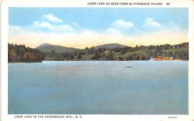 From Blythewood Island Loon Lake, New York Postcard