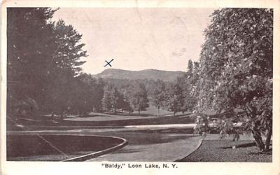 Baldy Loon Lake, New York Postcard