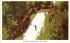 Fourth of July Jay Cees Ski Jump Lake Placid, New York Postcard