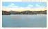 From Blythewood Island Loon Lake, New York Postcard