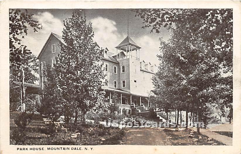Park House - Mountaindale, New York NY Postcard