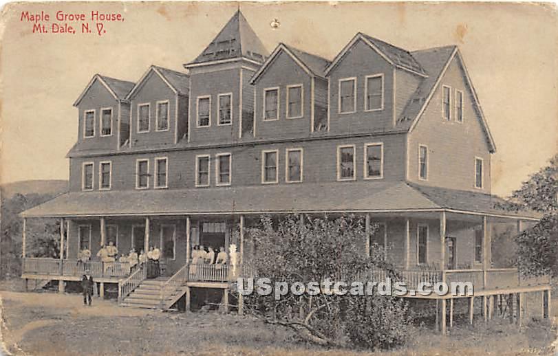 Maple Grove House - Mountaindale, New York NY Postcard