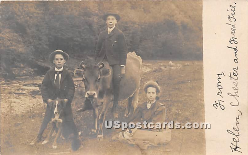 Children with animals - Mountaindale, New York NY Postcard