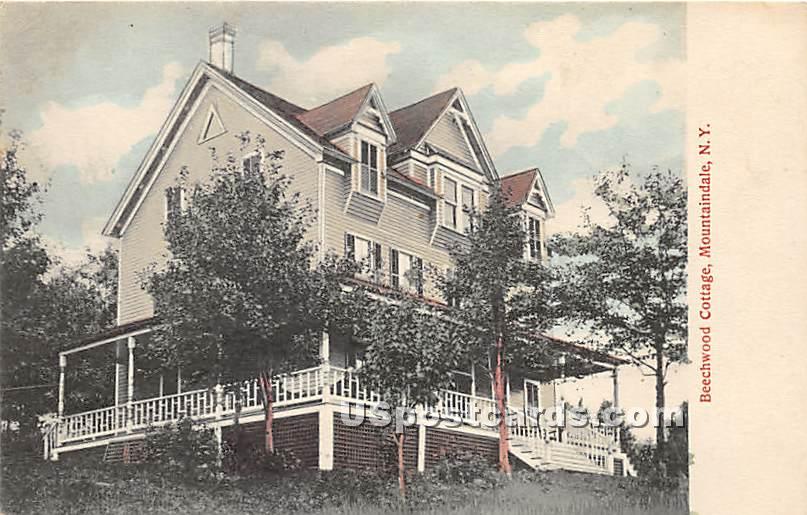Beechwood Cottage - Mountaindale, New York NY Postcard