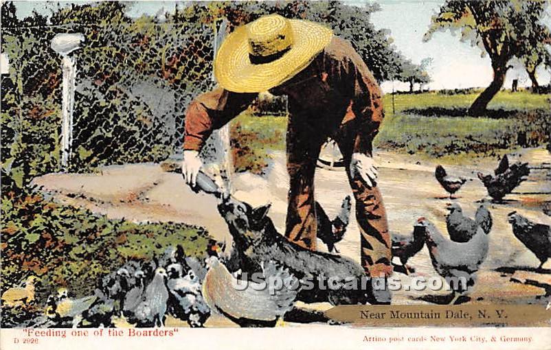 Feeding one of the Boarders - Mountaindale, New York NY Postcard