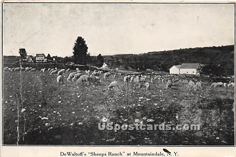 DeWaltoff's Sheeps Ranch - Mountaindale, New York NY Postcard