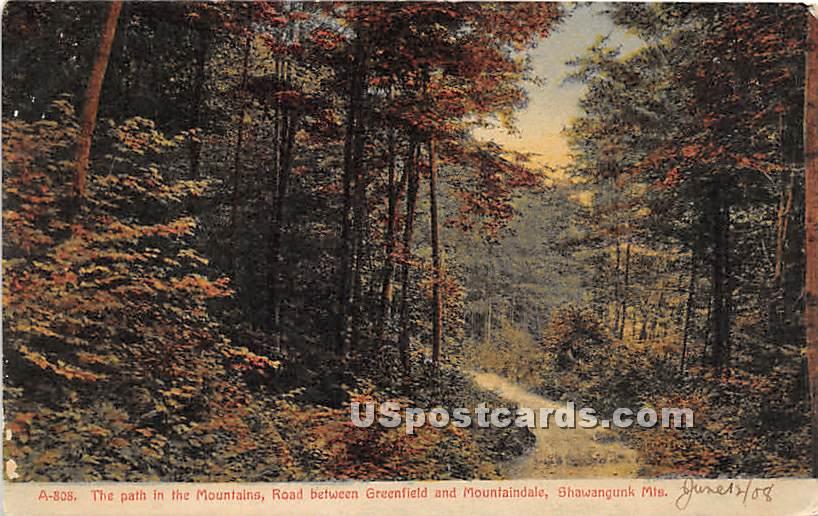 The Path in the Mountains - Mountaindale, New York NY Postcard